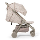 Autumn-Rose-Tot03.jpg