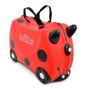Lady Bug 